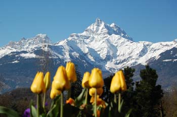Les Dents-du-Midi au printemps depuis le parc du Foyer