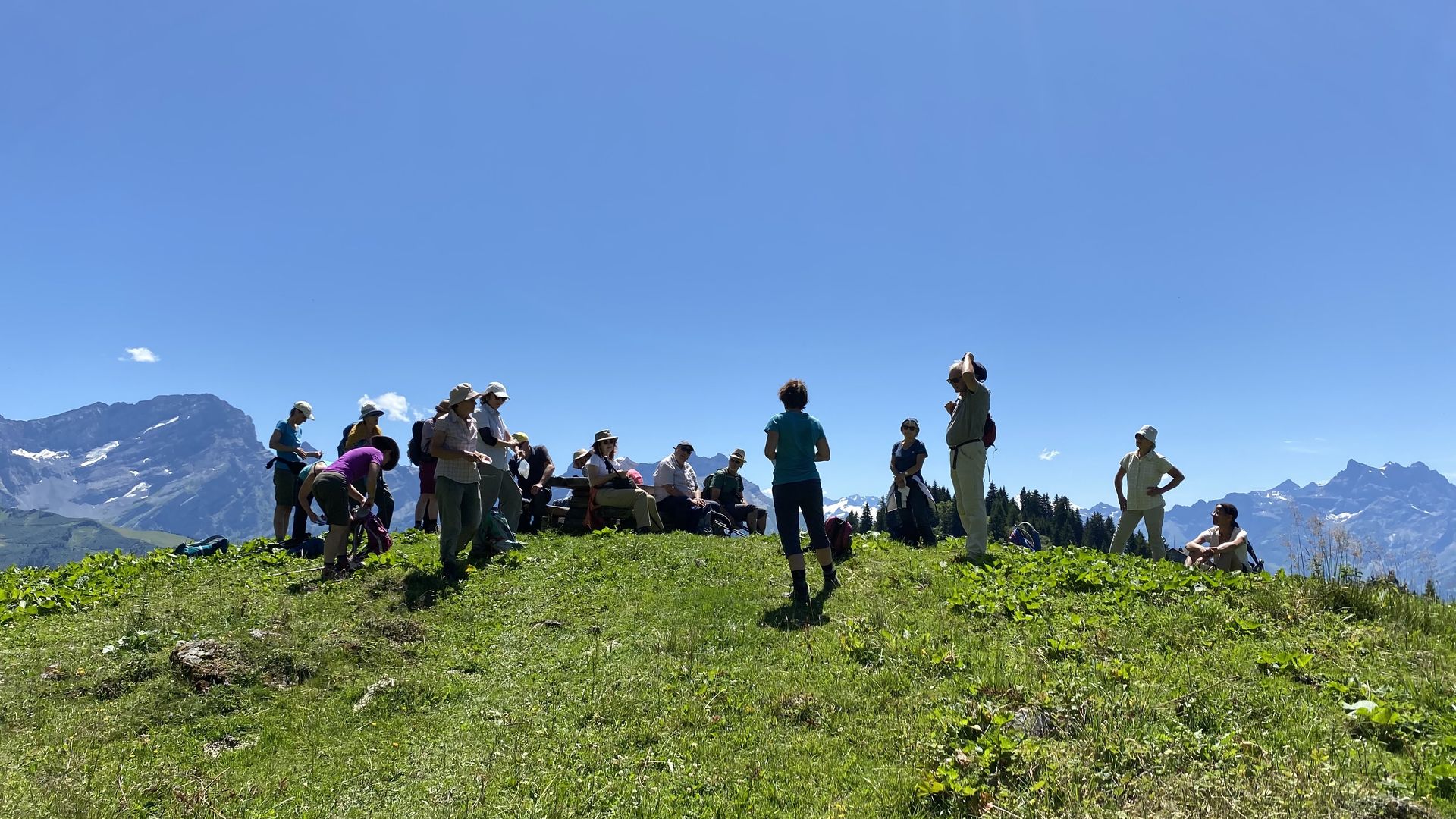 Groupe de retraitants au sommet d'un alpage face aux Alpes