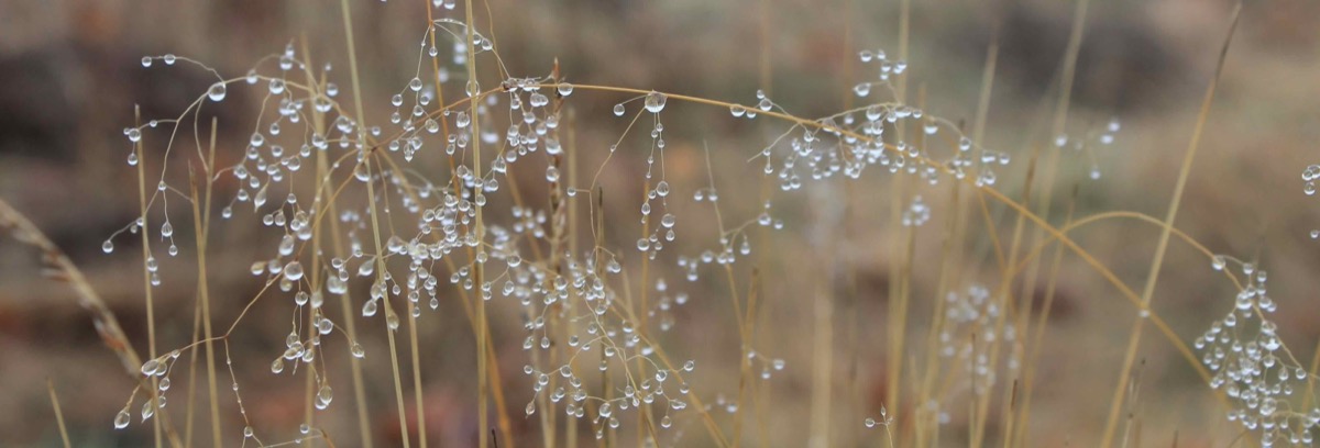 Exercices spirituels, retraite œcuménique